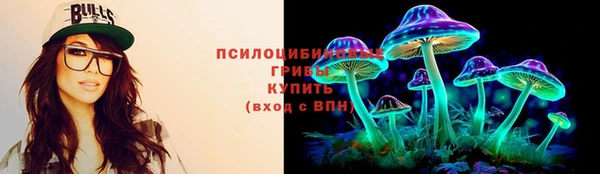 круглые Алексеевка