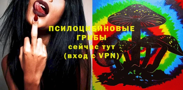 стафф Алексин